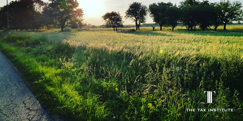 Vacant land deductions, the Eichmann Case and more…